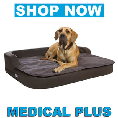Orthopädischen Hundekissen Medical Plus