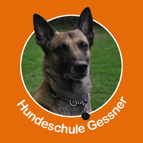 www.hundeschule-gessner.de