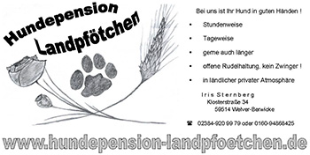 www.hundepension-landpfoetchen.de