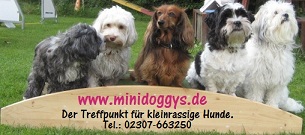 www.minidoggys.de